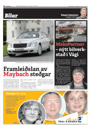 Síða 20