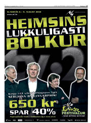 Síða 29
