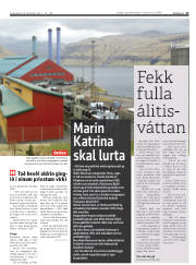 Síða 11