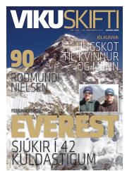 Síða 33