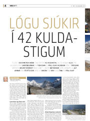 Síða 36