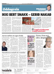 Síða 2