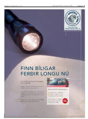 Síða 5