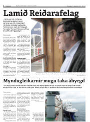 Síða 8
