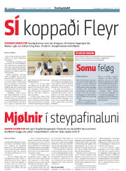Síða 14
