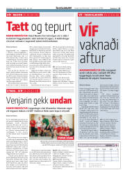 Síða 17