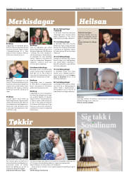 Síða 27