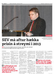 Síða 8