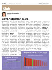 Síða 20
