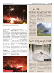 Síða 13