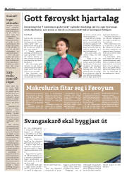Síða 14