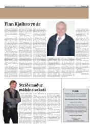 Síða 17