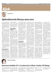 Síða 20