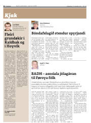 Síða 22