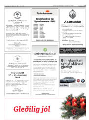 Síða 25
