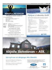 Síða 29