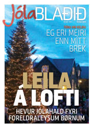 Síða 33