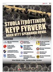 Síða 41