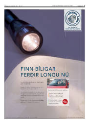Síða 5