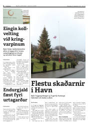 Síða 8