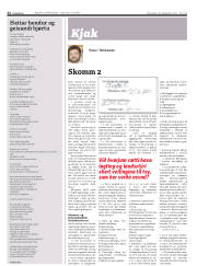 Síða 32