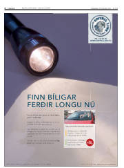 Síða 6