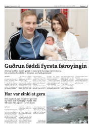 Síða 3