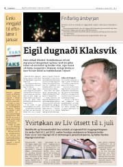 Síða 6