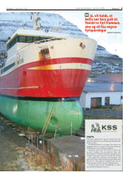 Síða 9
