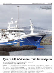 Síða 13