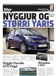Síða 17