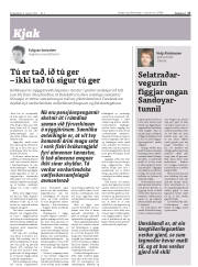 Síða 17
