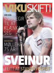 Síða 33