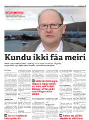 Síða 3