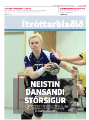 Síða 13