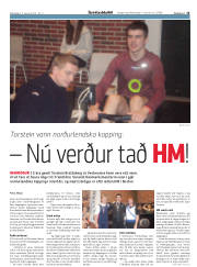 Síða 15