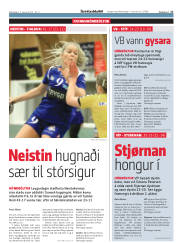 Síða 17