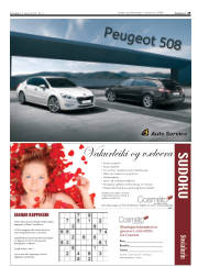 Síða 29
