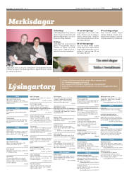 Síða 31