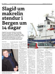 Síða 8