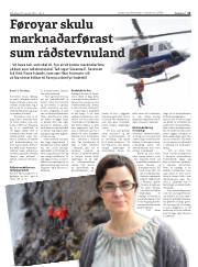 Síða 13