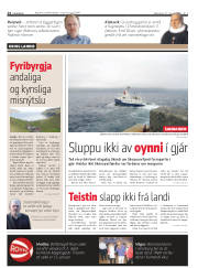 Síða 14
