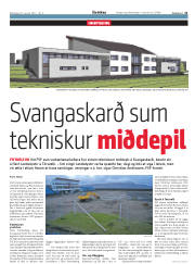 Síða 21