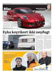 Síða 23