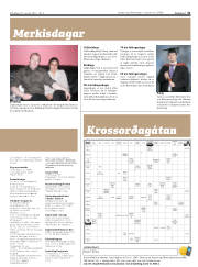 Síða 31