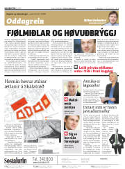 Síða 2