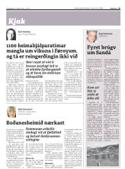 Síða 17