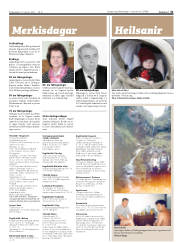 Síða 31