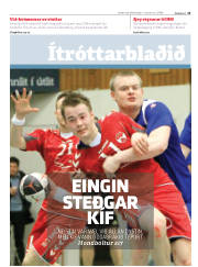 Síða 13
