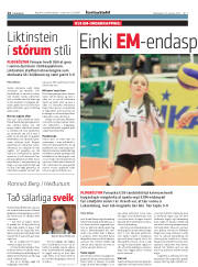 Síða 14